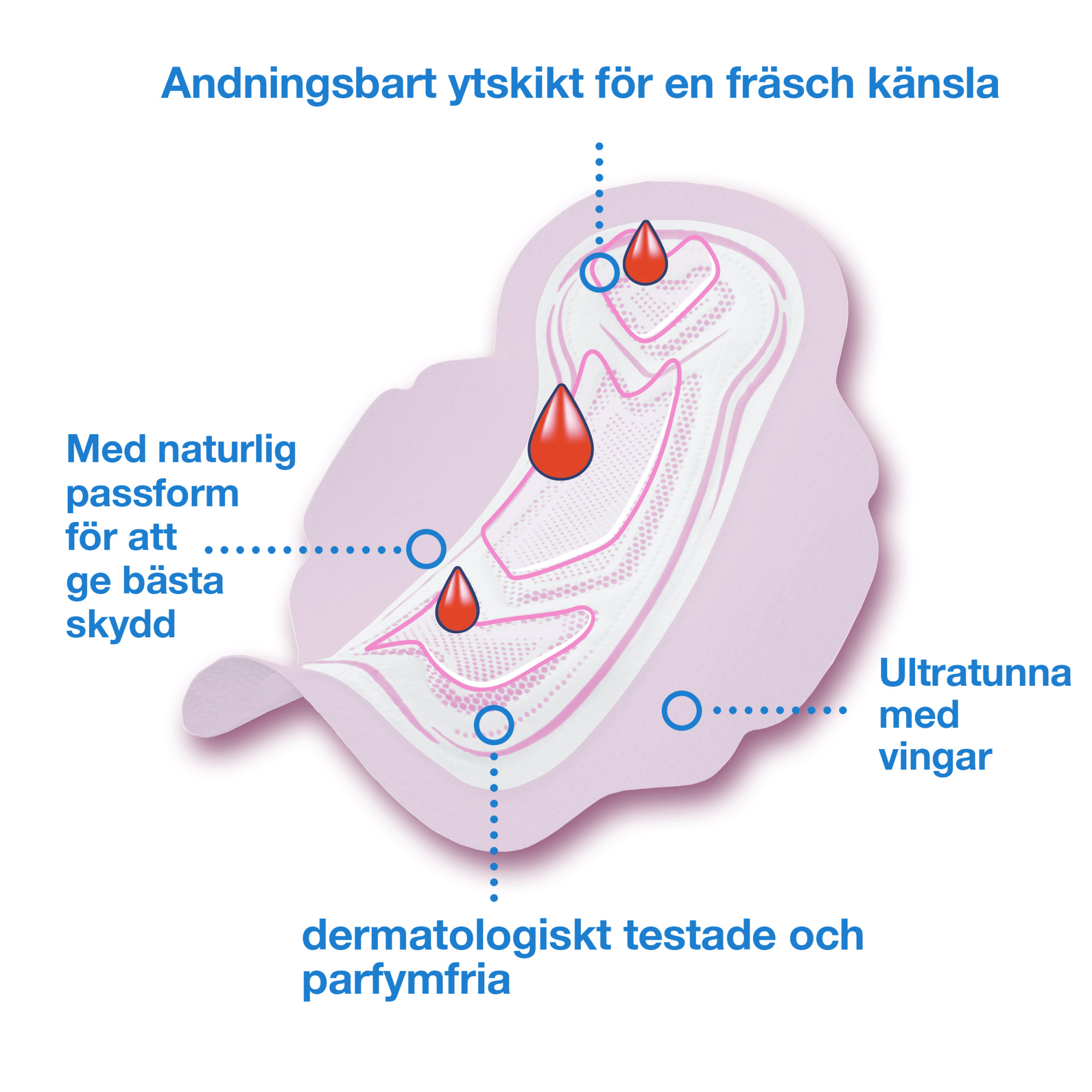 carousel-thumbnail-3