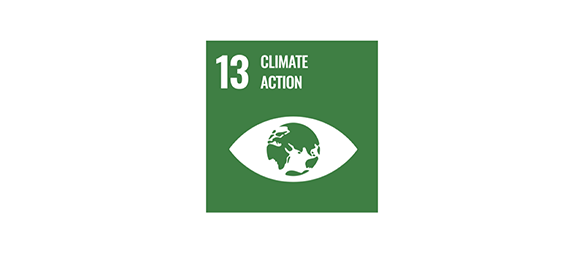 Image of the UN sustainable goal 13 logo