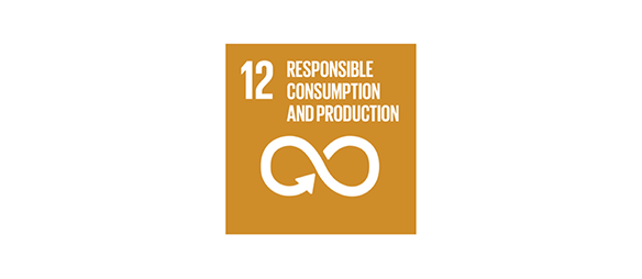 Image of the UN sustainable goal 12 logo