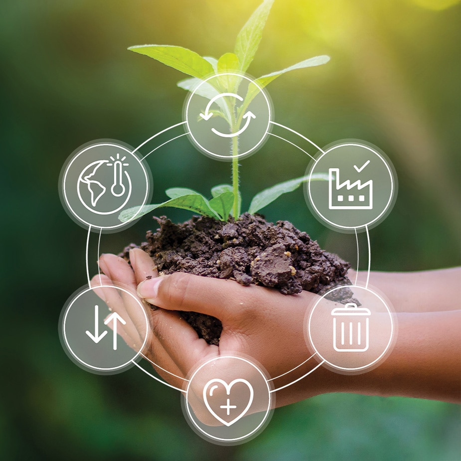 Green speckled background with hands holding a growing plant