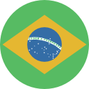 272428 - brazil circle flag.png