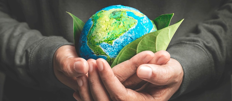 Hands holding a globe with leaves