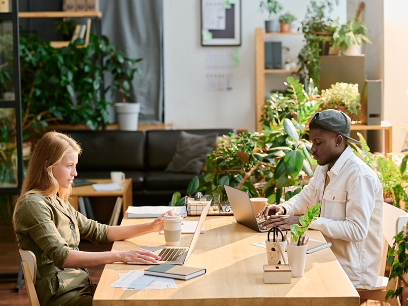 A woman and a man are sitting at a table working on their laptops with a cup of coffee each, in the background a black couch and some green plants