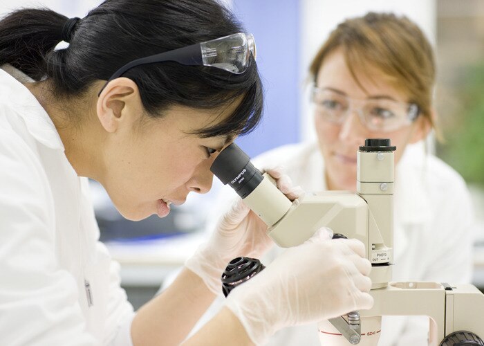 laboratory-original.jpg