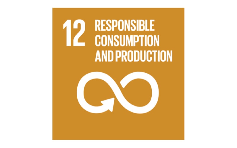 Изображение цели устойчивого развития ООН № 12, логотип