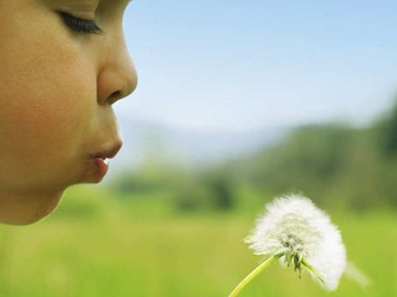 Mädchen pustet auf eine Pusteblume Mädchen pustet auf eine Pusteblume