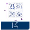 carousel-thumbnail-3