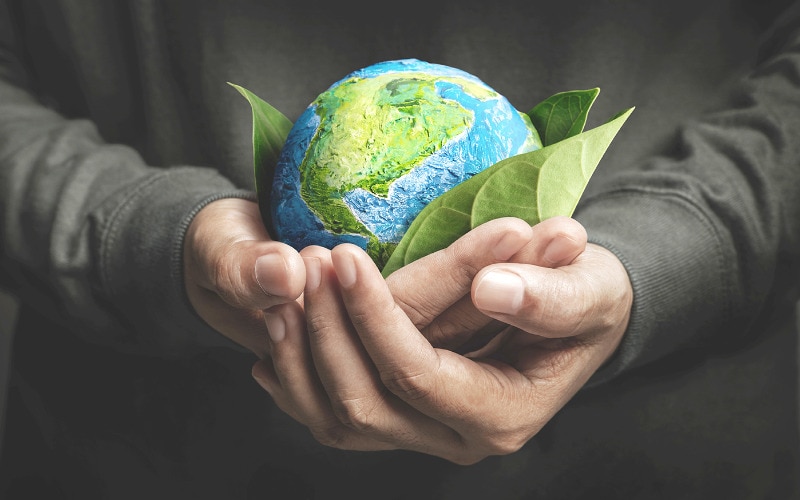 Hands holding a globe with leaves