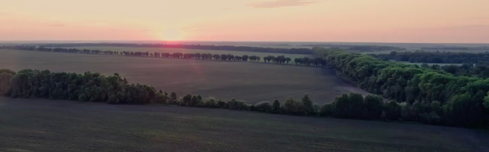 Des champs séparés par des arbres, et un coucher de soleil en fond