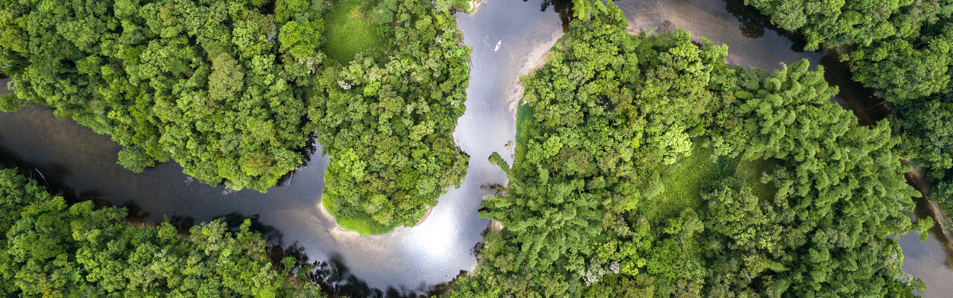 Image of river with green plant life on each side. Image of river with green plant life on each side.